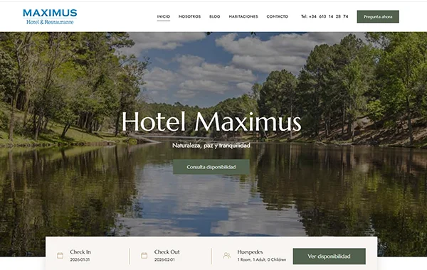 Presencia digital desde cero para Hotel Maximus